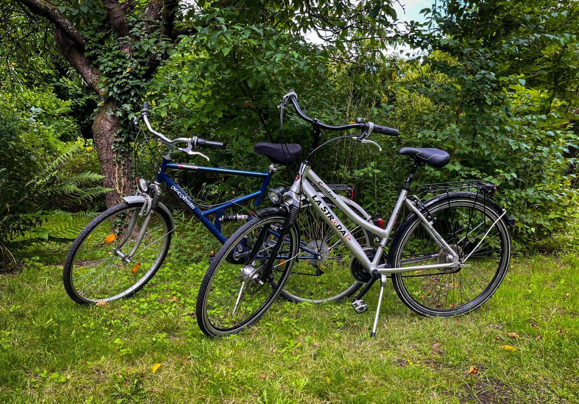 Ferienwohnung Hitzacker/Elbe Eksteriør billede